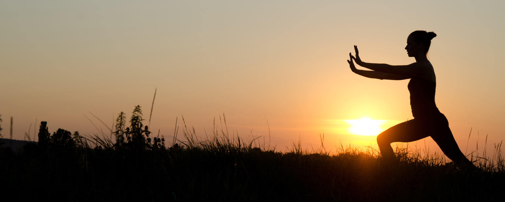 Tai Chi Chuan