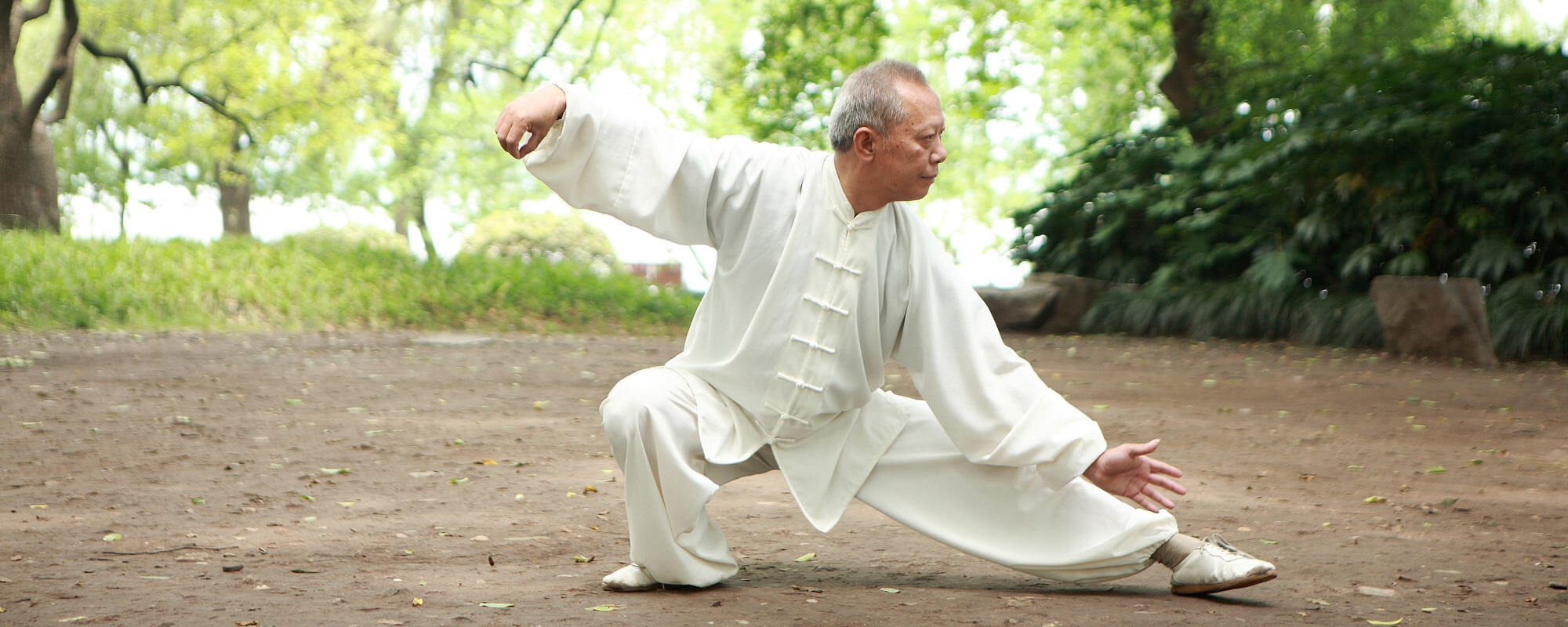 Tai Chi Chuan